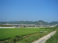 阪和自動車道　南部高架橋