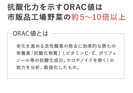 抗酸化力を示すORAC値は市販品工場野菜の約5～10倍以上