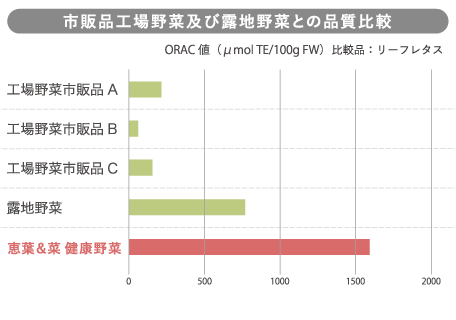 市販品工場野菜及び露地野菜との品質比較