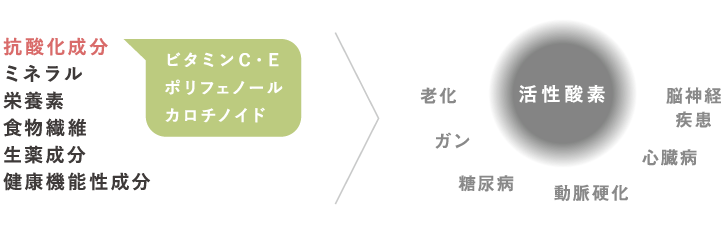 野菜・果物・作物の健康機能性・野菜の抗酸化値を高める必要性について