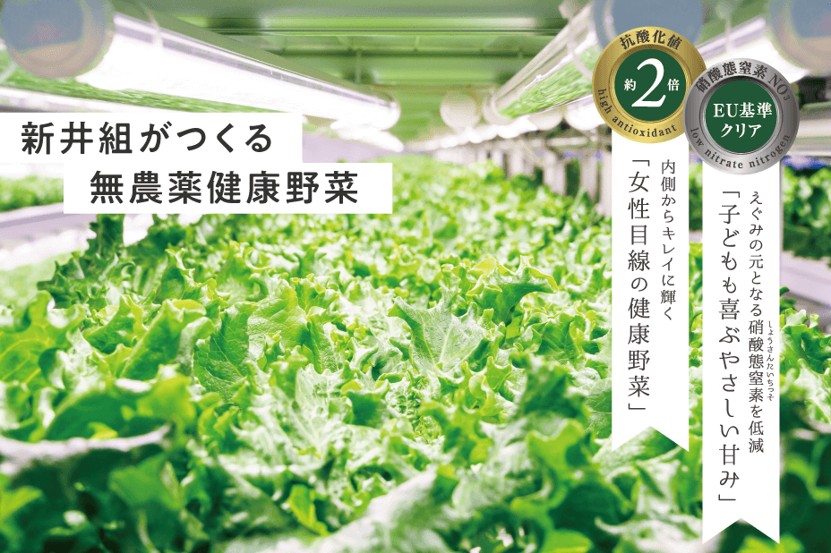 新井組がつくる無農薬健康野菜